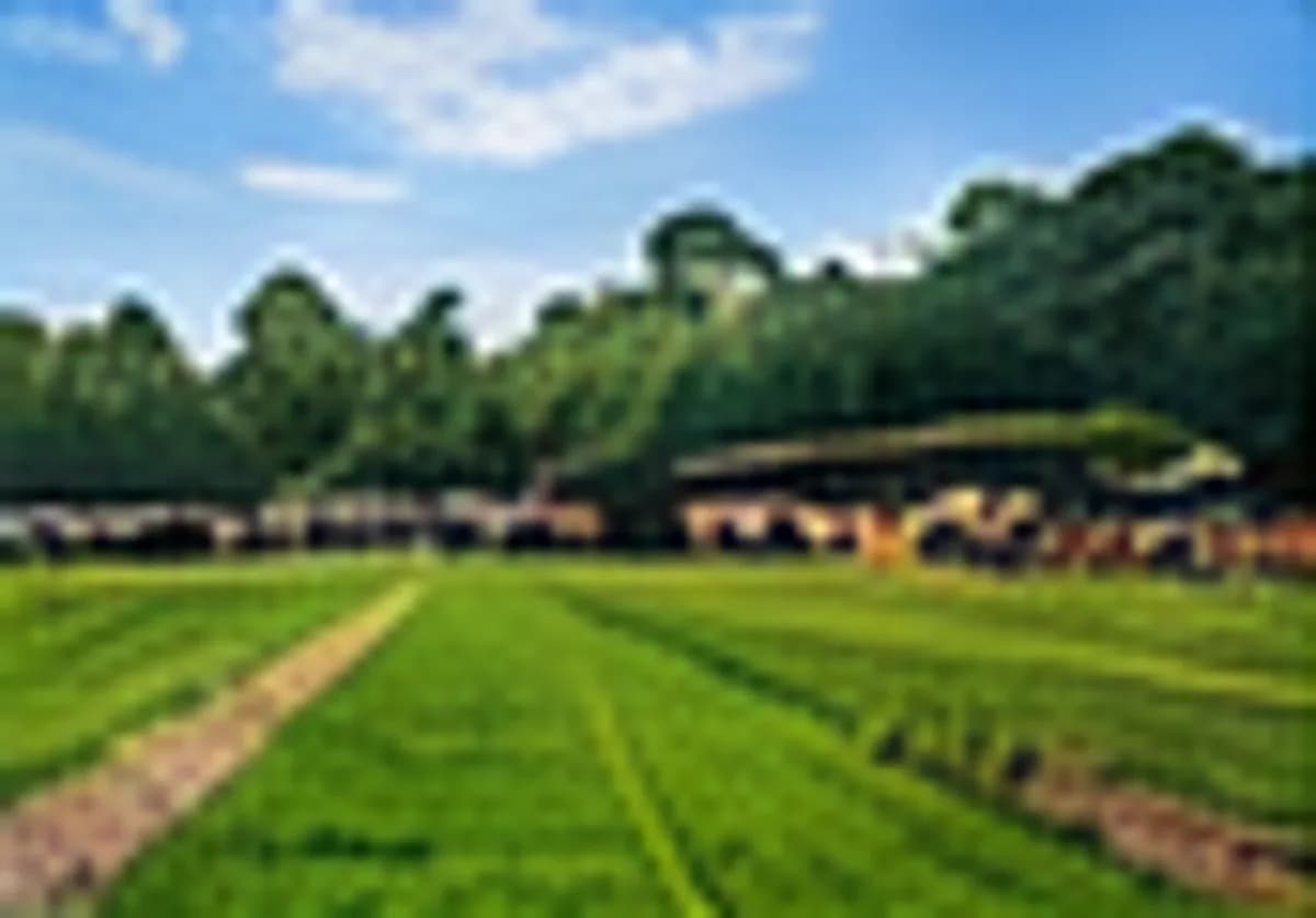 Farm fields
